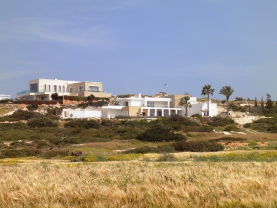 A wheat field with uxury villas on a hill